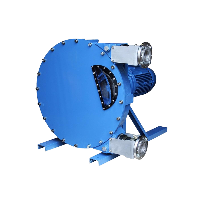 জুতার পায়ের পাতার মোজাবিশেষ পাম্প জুতার পায়ের পাতার মোজাবিশেষ পাম্প